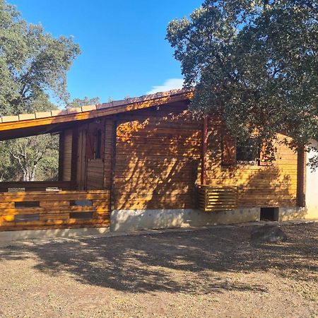 Chalet Climatise Porticcio Corse Fontanaccio Exterior foto