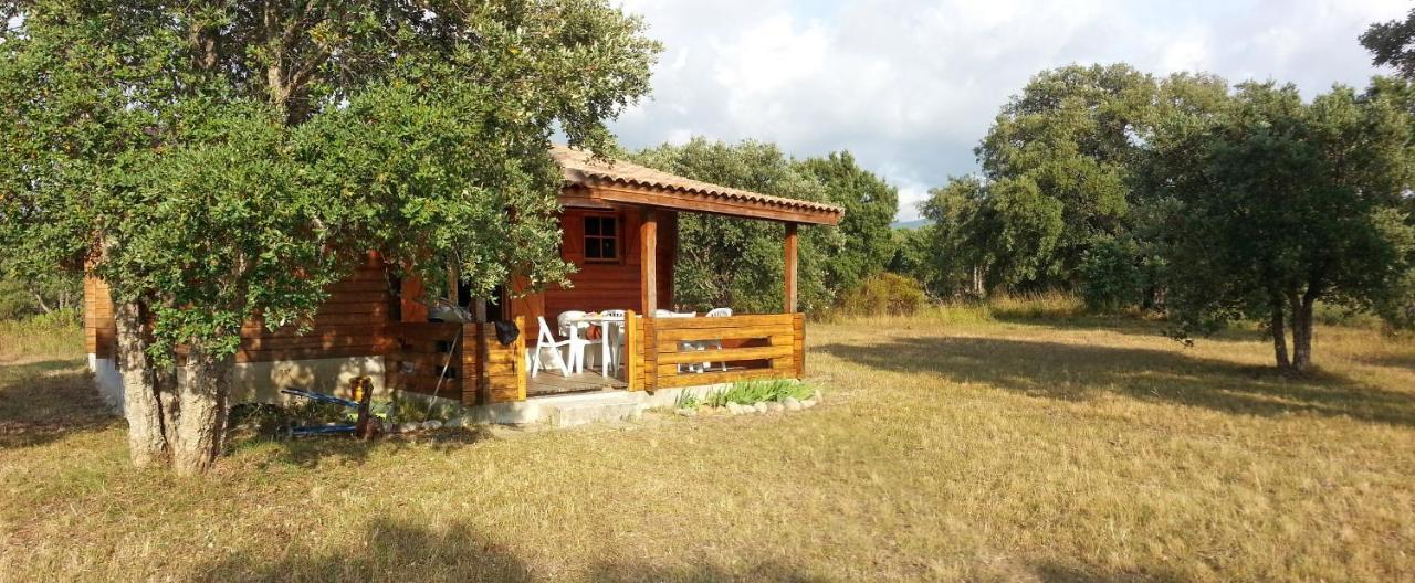 Chalet Climatise Porticcio Corse Fontanaccio Exterior foto